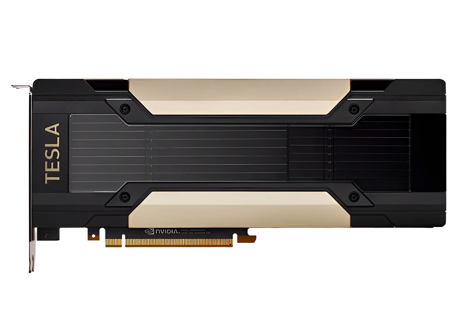V100/P100/T4/P4/P40/M10/M40 GP - Ddr5 8Gb review and price